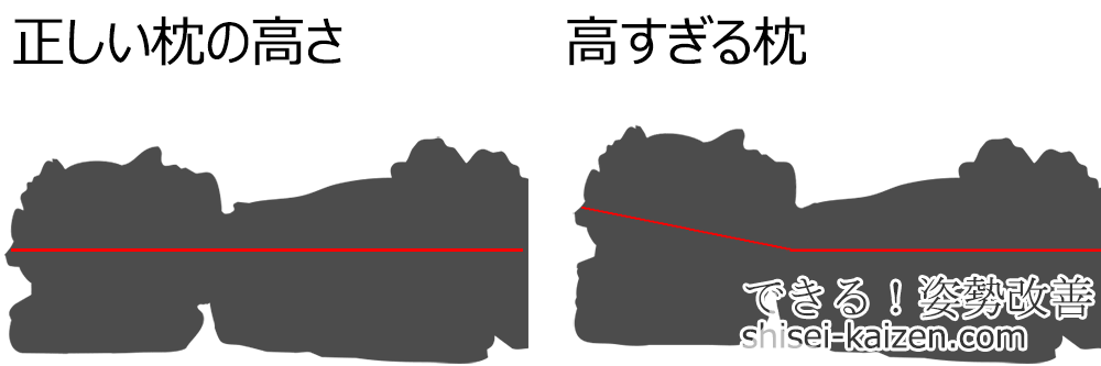 仰向けで寝た時の正しい枕の高さ